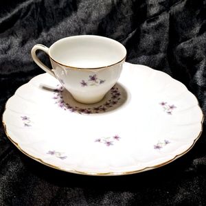Rare Vintage Tea Cup And Snack Plate~Scalloped Edge~Violets~Flowers